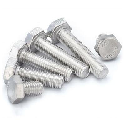 SS304 Stainless Steel Hex Bolt