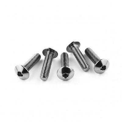 Stainless Steel Dome Bolt