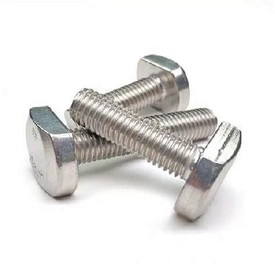 Stainless Steel T Head Bolts
