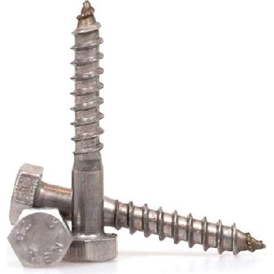 Coach Screw