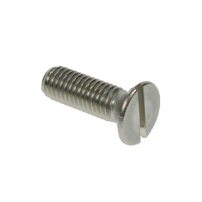 Ss Csk Slotted Screw