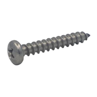 SS Pan Phillips Head Screw