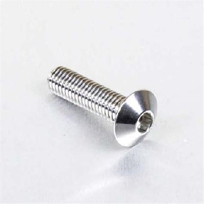 Stainless Steel Dome Bolt