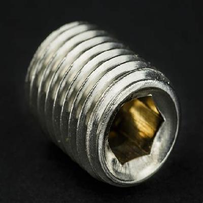 Stainless Steel Grub Screw