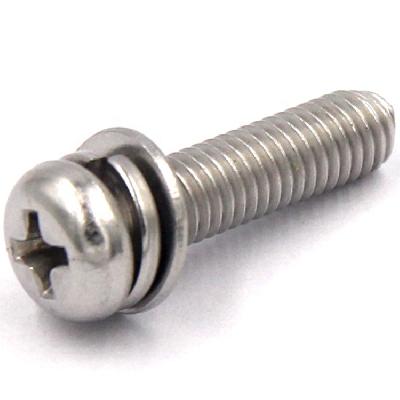 Stainless Steel Pan Combi Screw