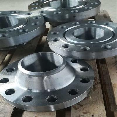 Hastelloy C22 Flanges