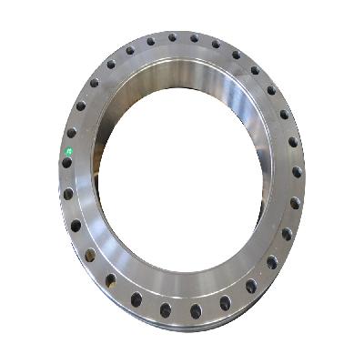 Stainless Steel Forged Flanges