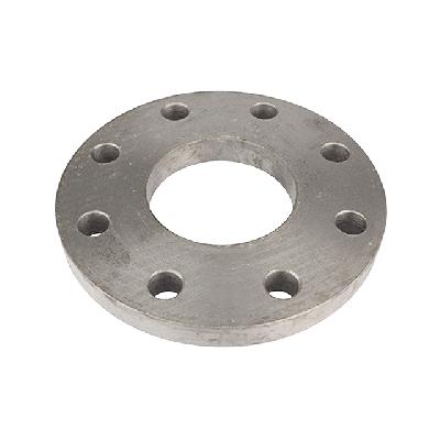 Stainless Steel Plate Flanges