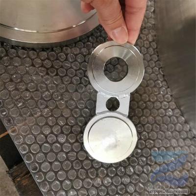 Stainless Steel Spectacle Blind