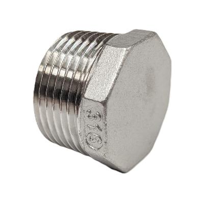 Stainless Steel Threaded Plug