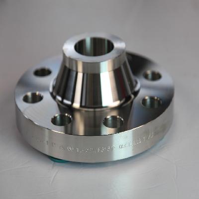 Stainless Steel Weld Neck Flanges