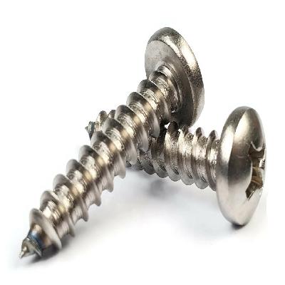 SS Phillips Screws