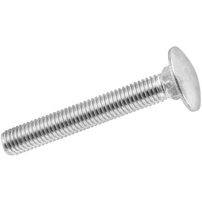 Stainless steel Coach Bolt