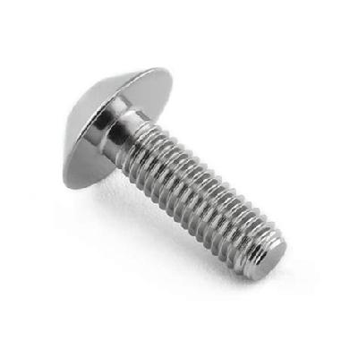 Stainless steel Dom Bolt