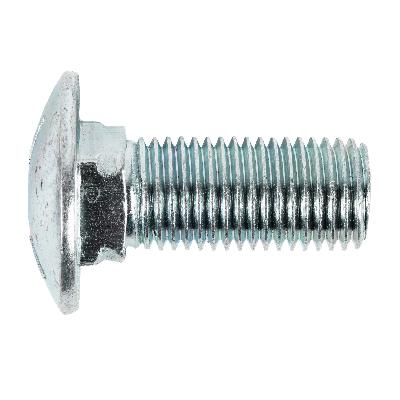 Carriage Bolts