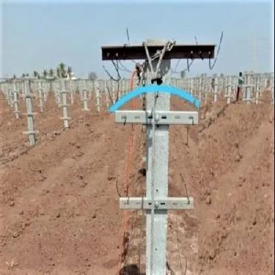 Dragon Fruit Support Channel, Dragon Fruit Farm Support Channel, Farm Fencing Chhanel