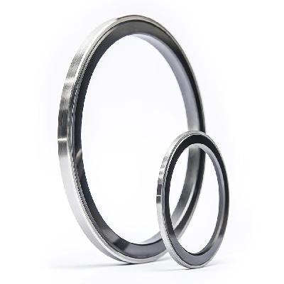 Carbon Sealing Rings