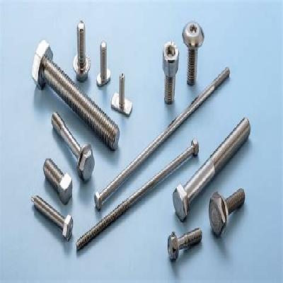 304 Head Bolt Steel Fastener