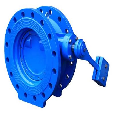 Butterfly Valves and Swing Check Valve