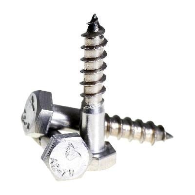 Hexagon Head Leg Screw