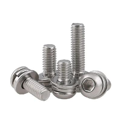 SS Combi Washer Screws