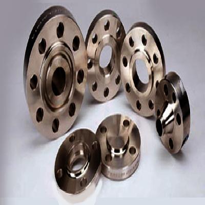 Hastelloy C-276 Flanges
