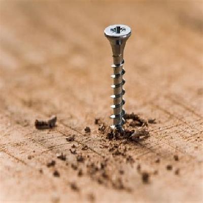 Screwed 