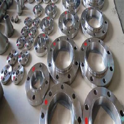 Titanium Flanges