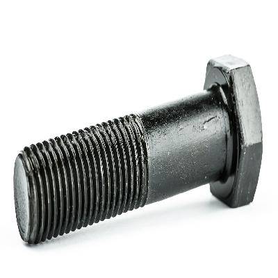 Grade 10.9 Foundation Bolt