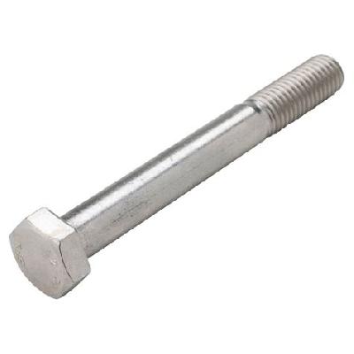 SS 316 Bolt
