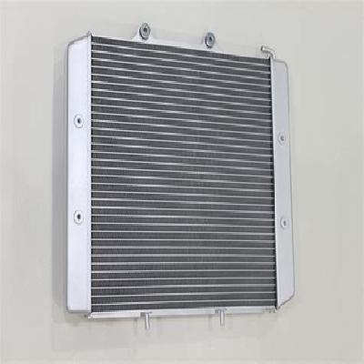 Stay Assy Radiator