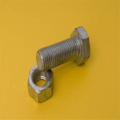 Bolt Nut