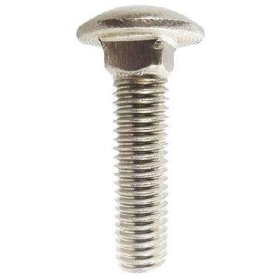 Stainless Steel Carriage Bolt