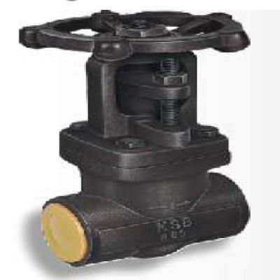IBR Gate Valve