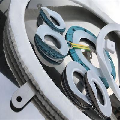 PTFE Envelope Gasket