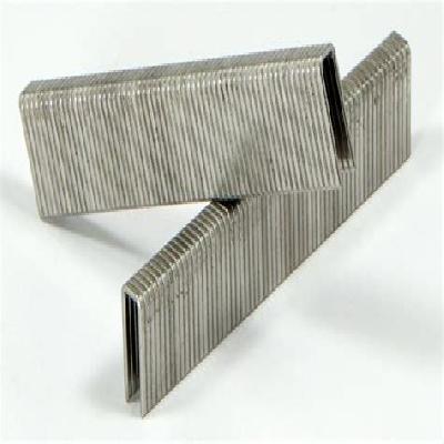 Stainless Steel Staples