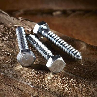 Coach Screw
