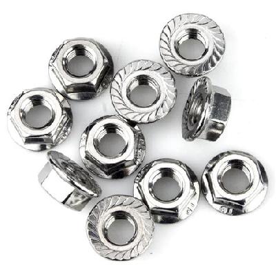 SS Flange Nut