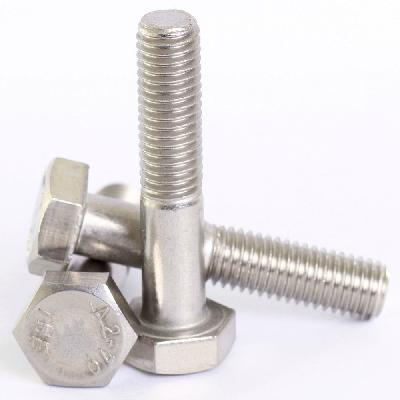 SS Hex Bolt
