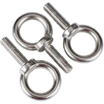 SS M12 Eye Bolt