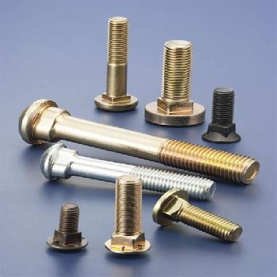 Elliptical Bolts oval head