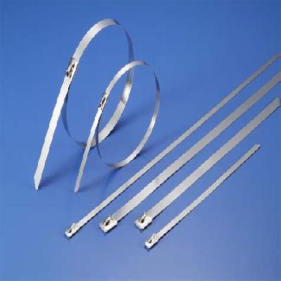 SS Cable Ties