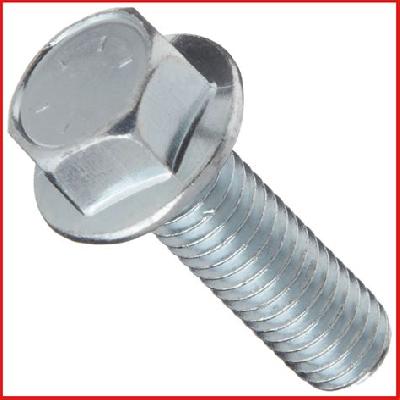 Stainless Steel Flange Bolt