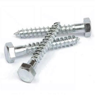 Hex Coach Screws