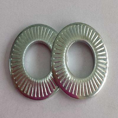 Serrated Washers