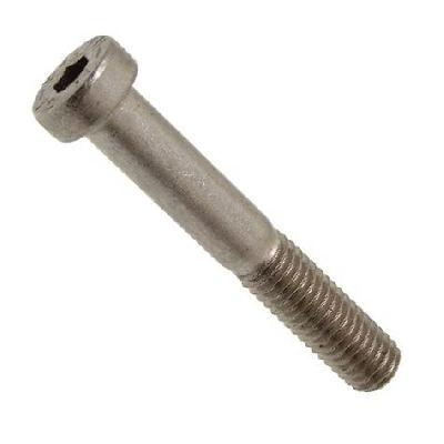 Hex Socket Head Cap Screw