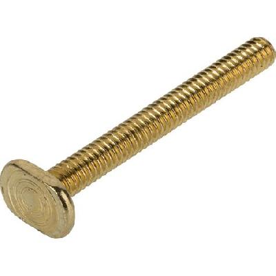 T - Bolts