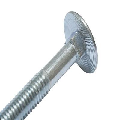 Carriage Bolt
