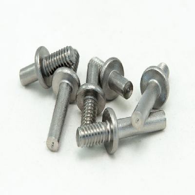 Special Studs And Coller Bush