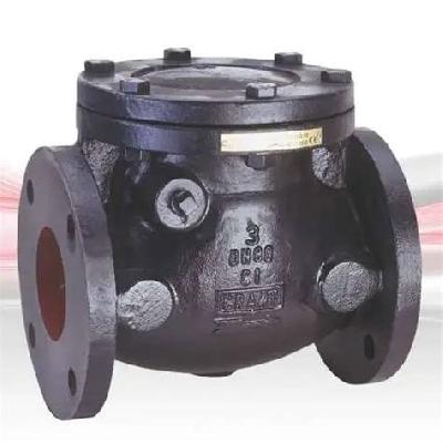 Check Valve  -  CI
